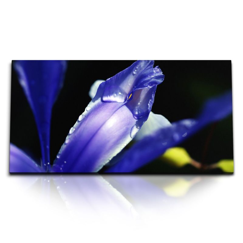 Kunstdruck Bilder 120x60cm Orchidee Blume Blüte Violett Makrofotografie Dunkel