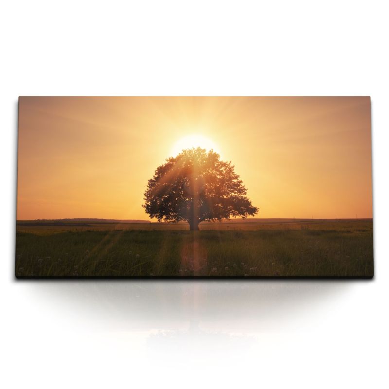 Kunstdruck Bilder 120x60cm Sonnenuntergang einsamer Baum Feld Abendrot Natur