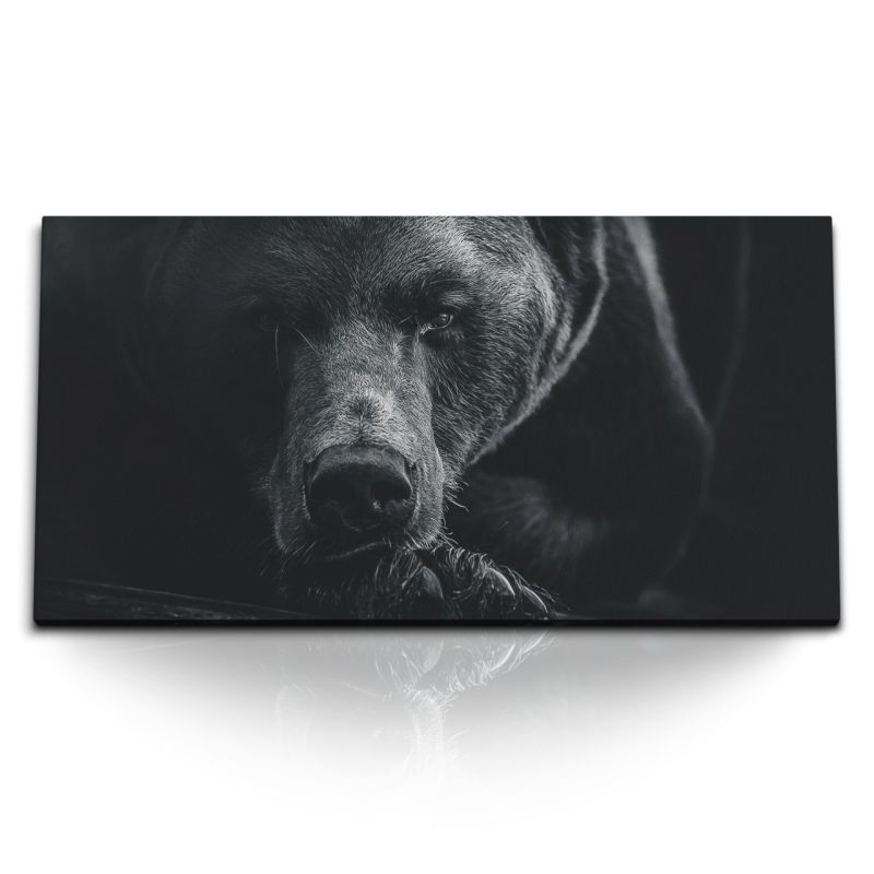 Kunstdruck Bilder 120x60cm Bär Braunbär Schwarz Tierfotografie Kunstvoll