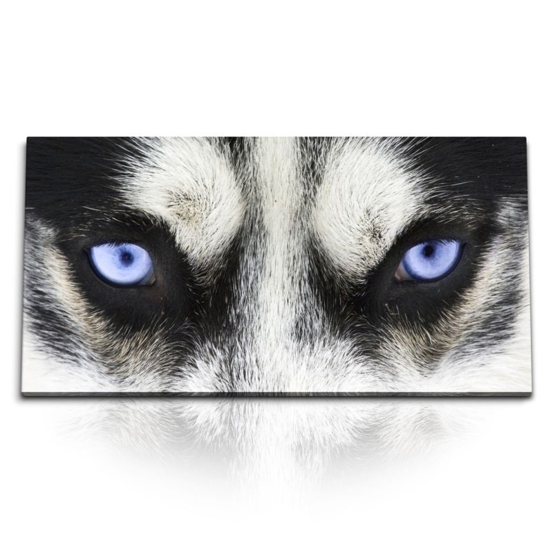 Kunstdruck Bilder 120x60cm Haski blaue Augen Hund Tierfotografie