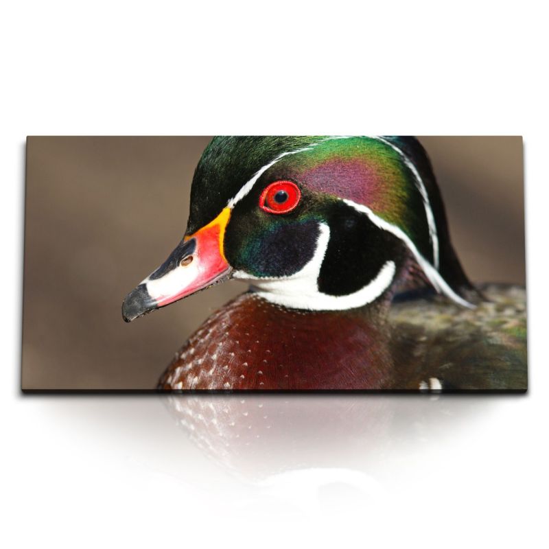 Kunstdruck Bilder 120x60cm Waldente Ente Tierfotografie Natur Vogel