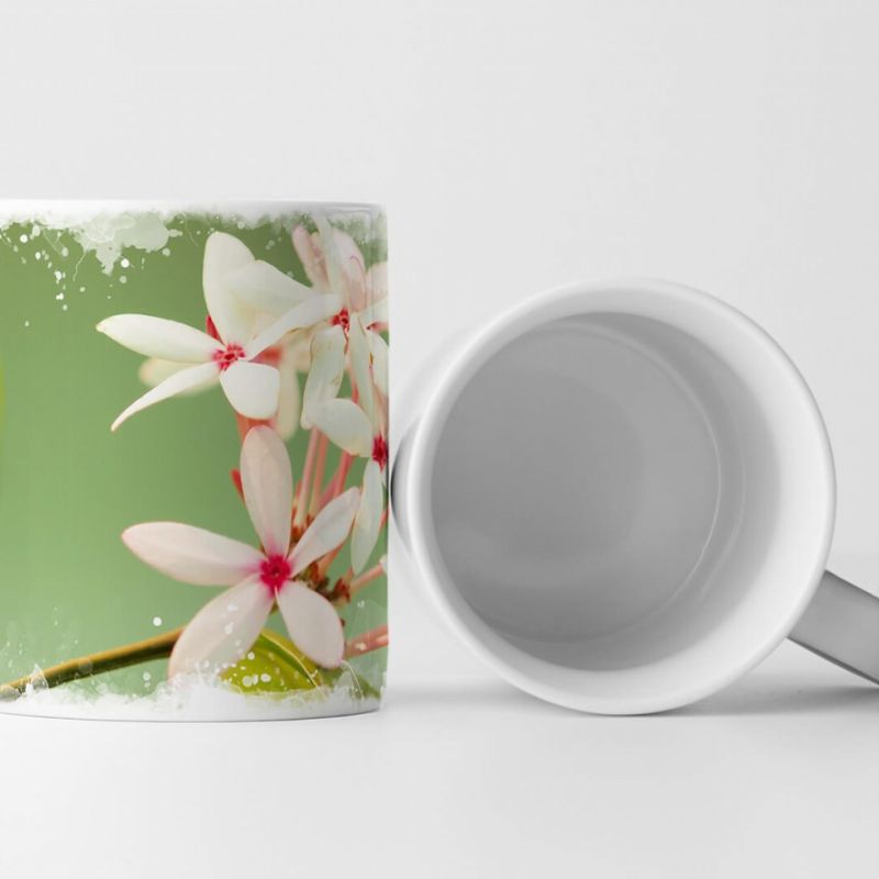 Tasse Geschenk Naturfotografie – Zartrosa Blüten