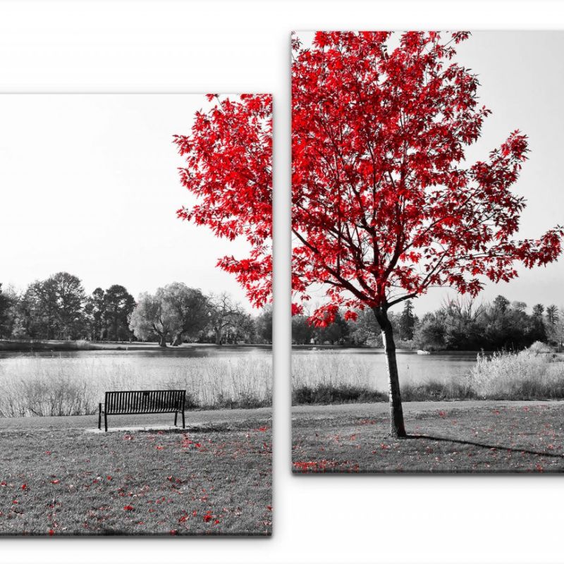 Parkbank unter einem Baum Wandbild in verschiedenen Größen