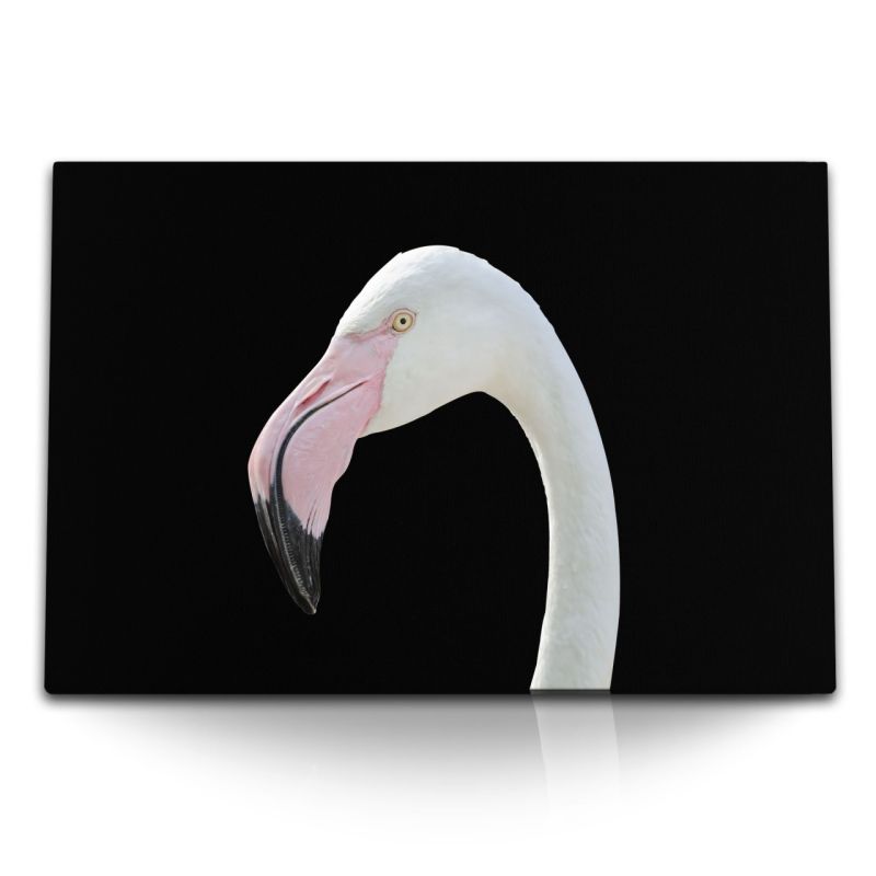 120x80cm Wandbild auf Leinwand Flamingo schwarzer Hintergrund Tierfotografie Vogel