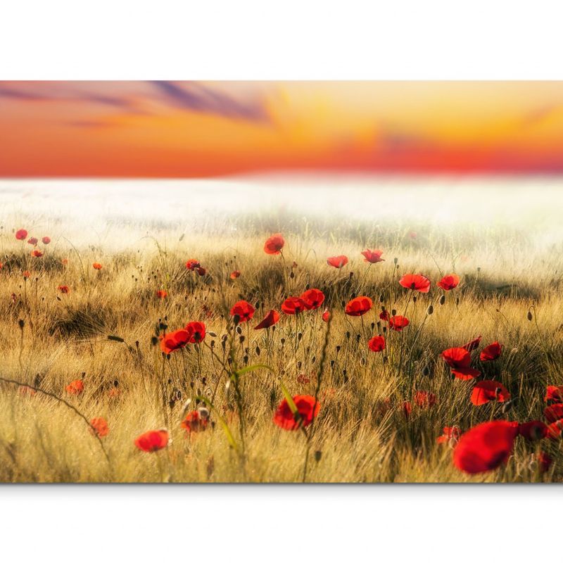 120x80cm Wandbild Mohnblumen Feld Sonne