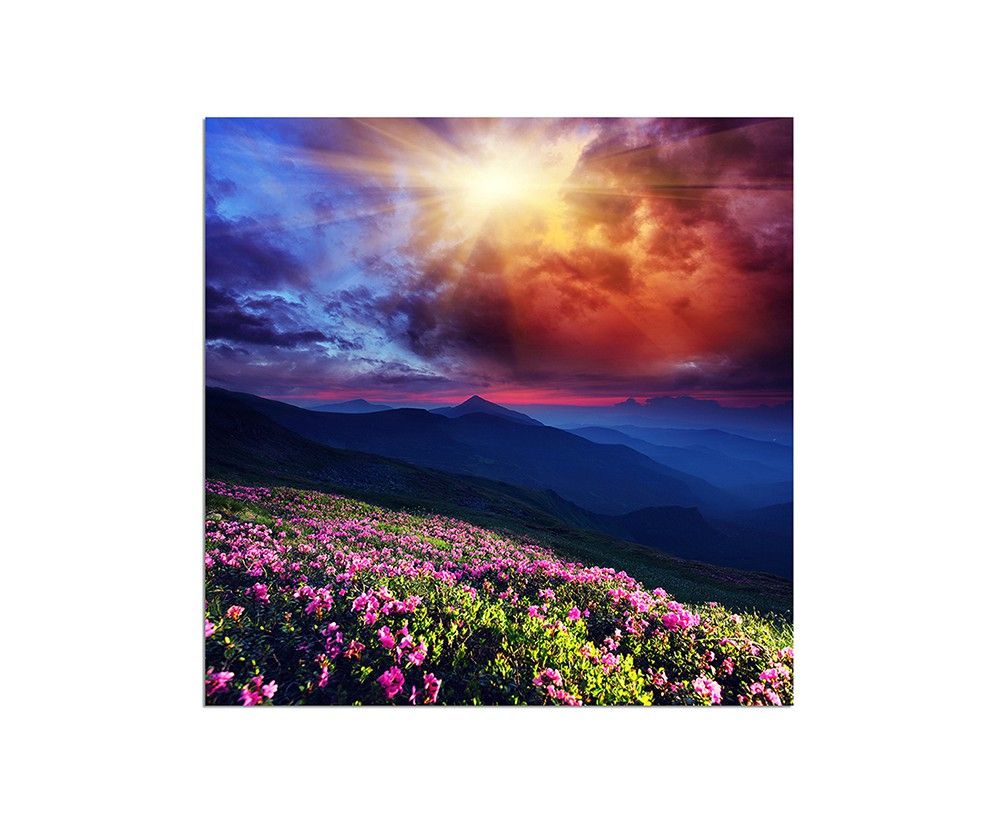 80x80cm Blumenwiese Berge Sonne Wolken Landschaft