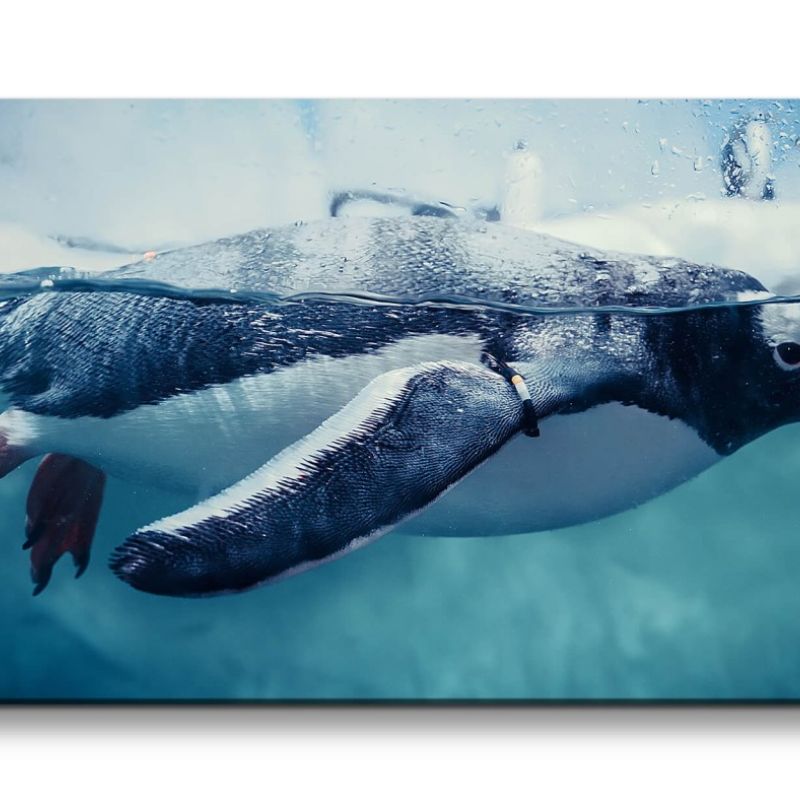 Leinwandbild 120x60cm Pinguin unter Wasser schönes Tier Fotokunst