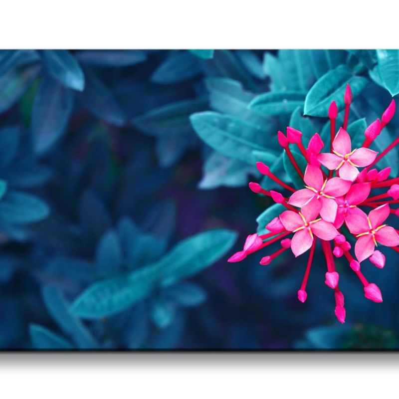 Leinwandbild 120x60cm Blume Exotisch Tropisch Fotokunst Blüte Schön