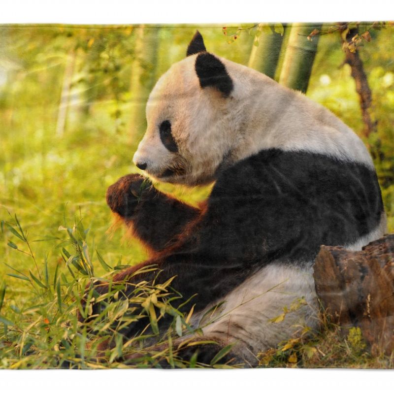 Handtuch Strandhandtuch Saunatuch Kuscheldecke  mit Tiermotiv Panda Bambus