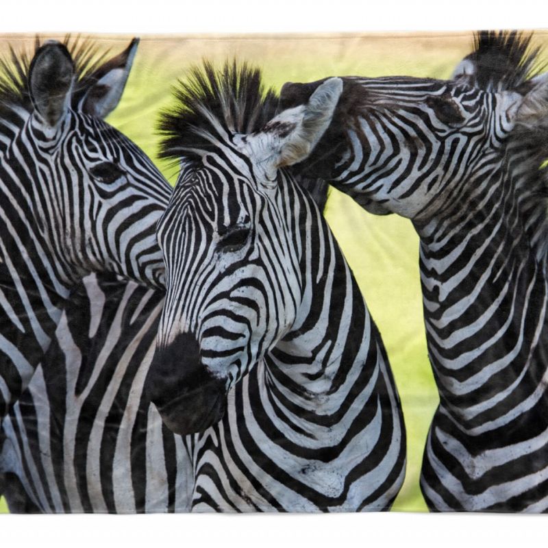 Handtuch Strandhandtuch Saunatuch Kuscheldecke  mit Tiermotiv Zebras Afrika Sonn