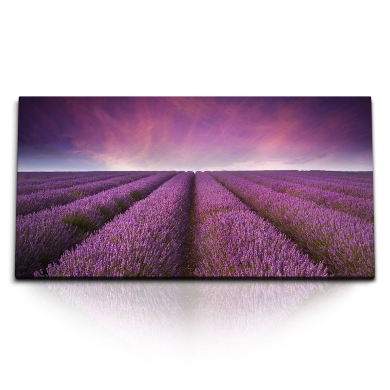 Kunstdruck Bilder 120x60cm Lavendelfeld Lavendel Lila Violett Horizont Himmel