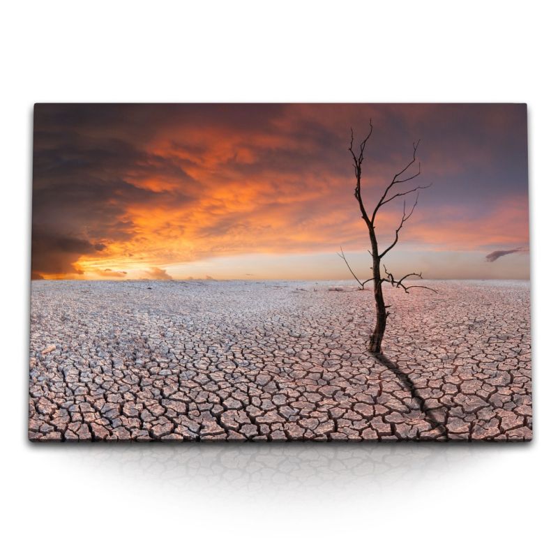 120x80cm Wandbild auf Leinwand Abendrot Baum trockene Landschaft Horizont