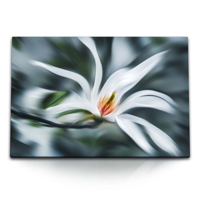 120x80cm Wandbild auf Leinwand Weiße Blume Blüte Kunstvoll Fotokunst