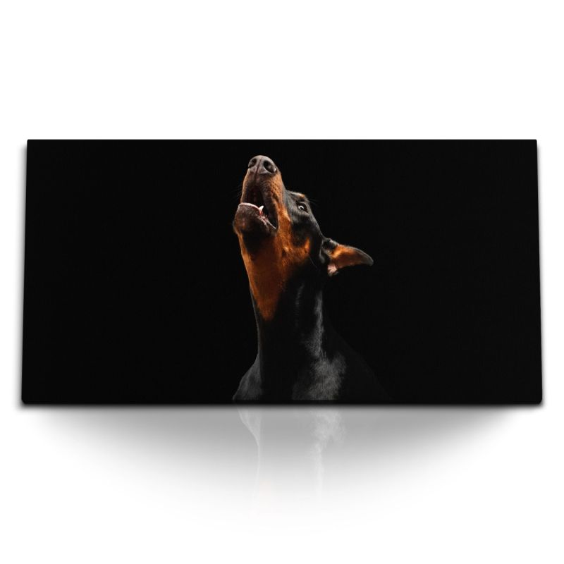 Kunstdruck Bilder 120x60cm Dobermann Hund Schwarz Tierfotografie