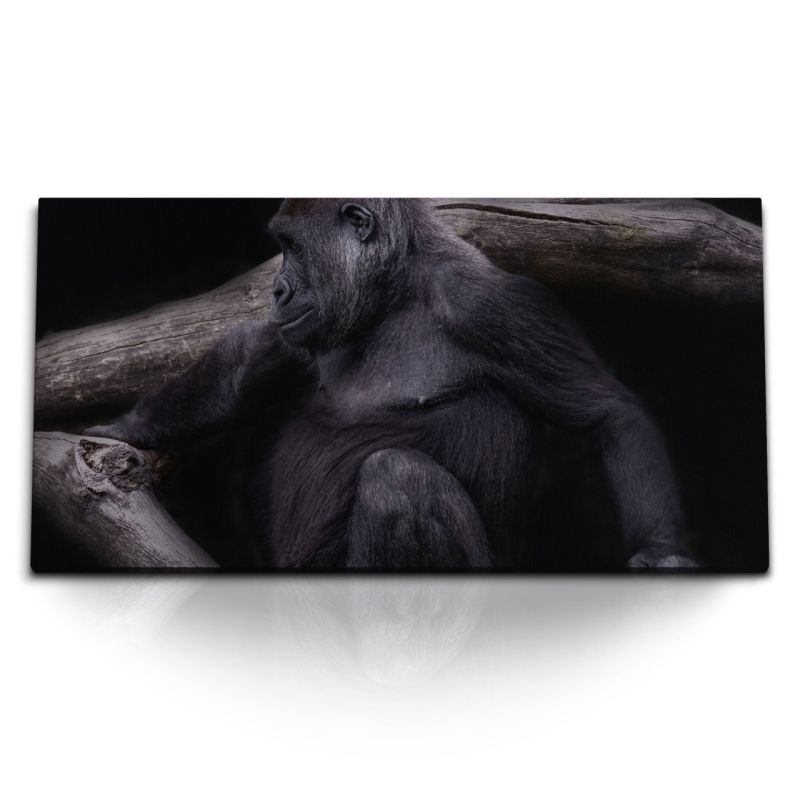 Kunstdruck Bilder 120x60cm Gorilla Tierfotografie Baumstamm Schwarz Affe