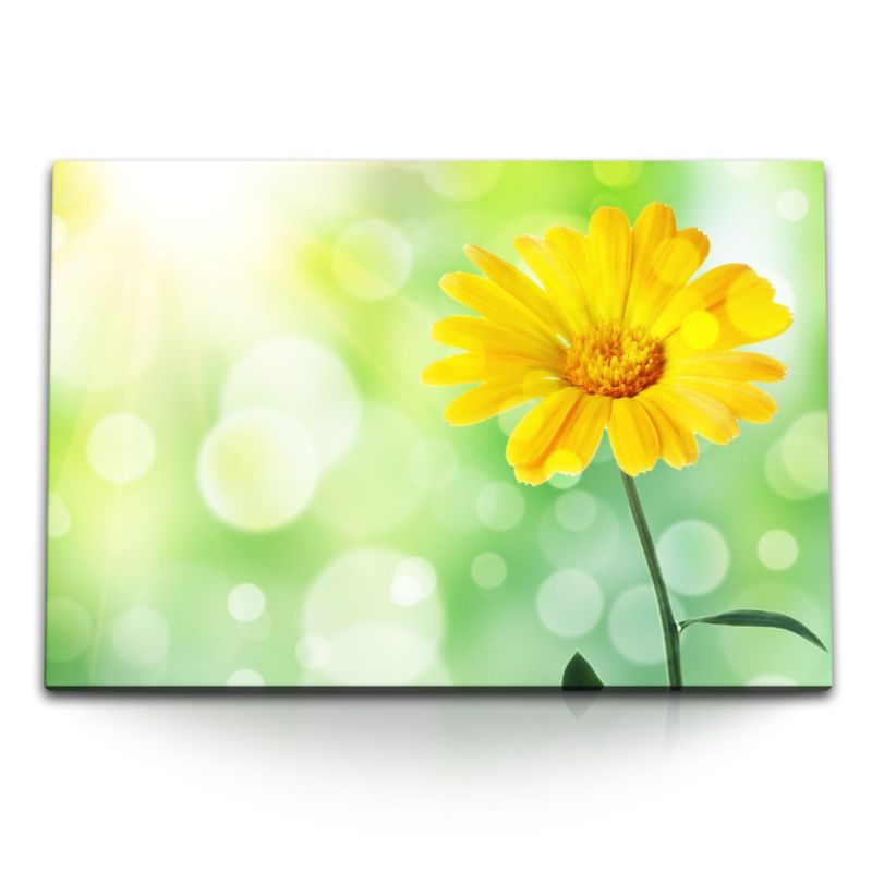 120x80cm Wandbild auf Leinwand Gelbe Blume Grün Sonnenschein Sommer Blüte