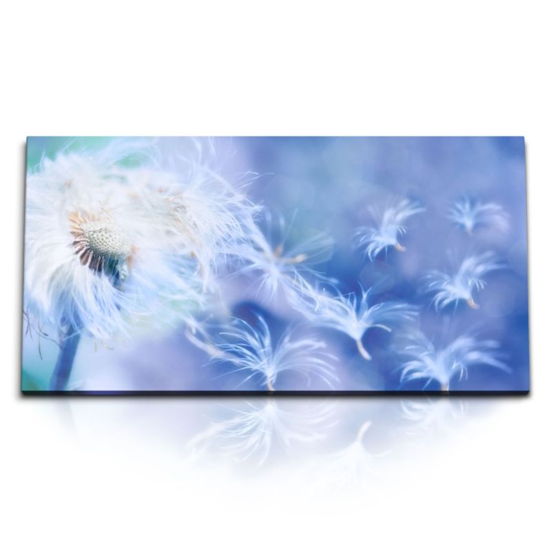 Kunstdruck Bilder 120x60cm Pusteblume Fotokunst Blau Nahaufnahme Blume