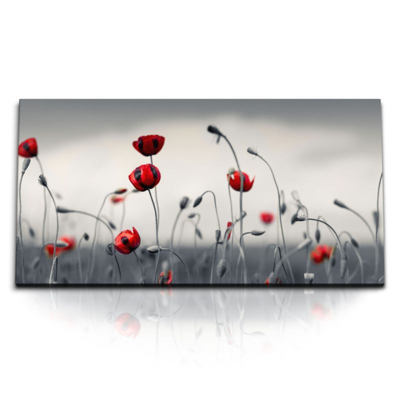 Kunstdruck Bilder 120x60cm Rote Blumen Feldblumen Wildblumen Mohn