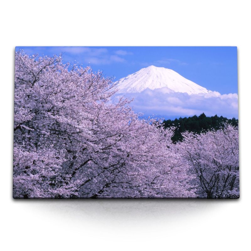 120x80cm Wandbild auf Leinwand Japanische Kirschblüten Japan Fuji Vulkan Frühling