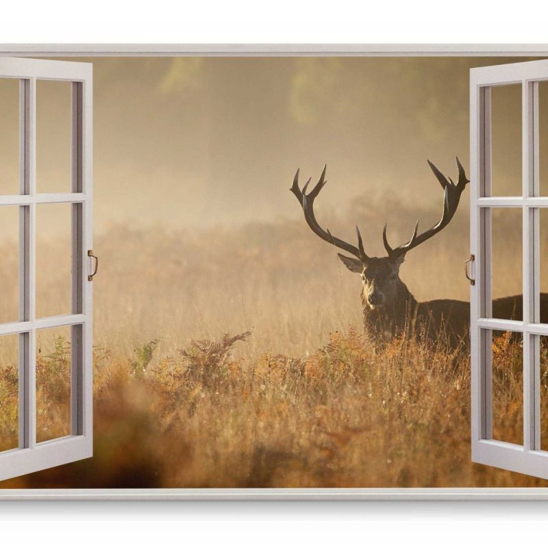 Wandbild 120x80cm Fensterbild Hirsch Graslandschaft Nebel Morgentau Natur