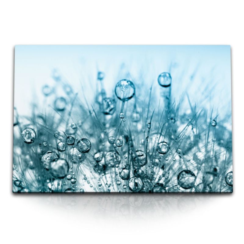 120x80cm Wandbild auf Leinwand Fotokunst Makrofotografie Pusteblume Wassertropfen