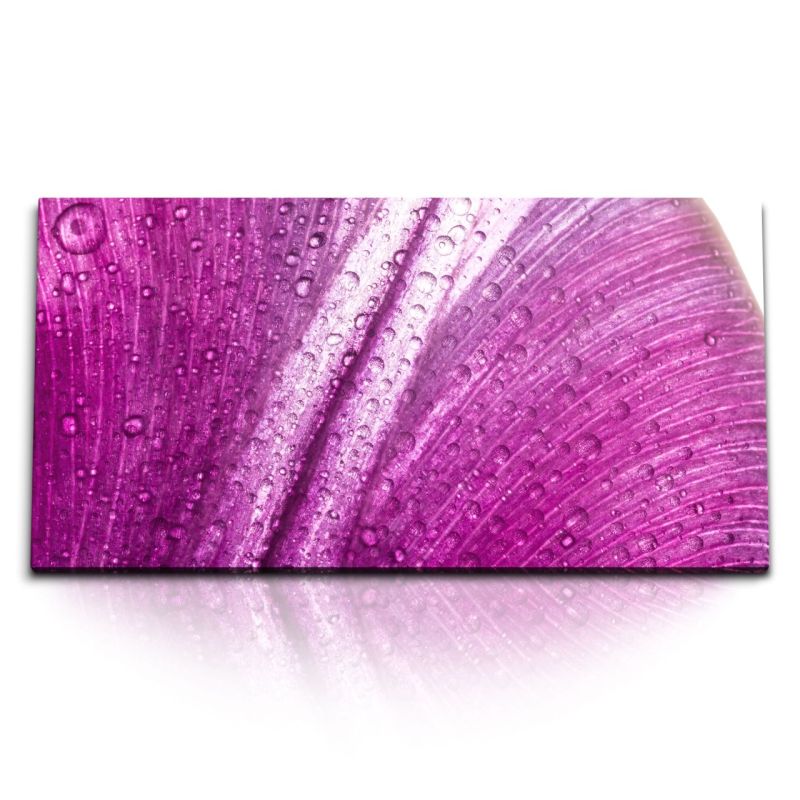 Kunstdruck Bilder 120x60cm Rosa Blüte Blume Wassertropfen Regentropfen Makrofotografie