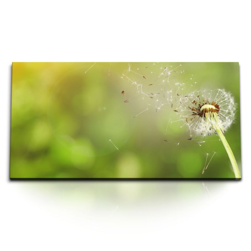 Kunstdruck Bilder 120x60cm Natur Pusteblume Grün Sommer Sonnenschein