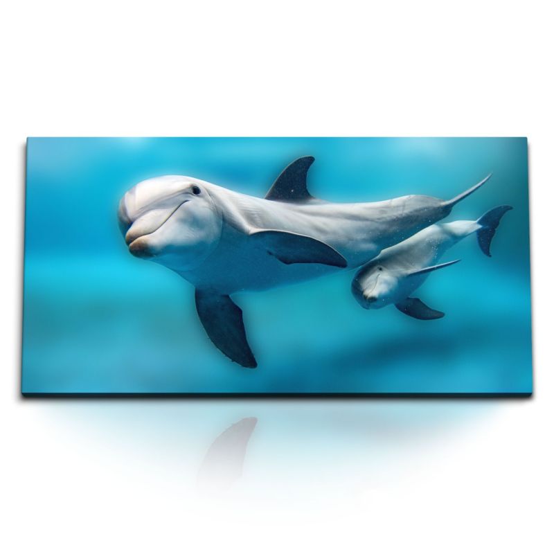 Kunstdruck Bilder 120x60cm Delfine Babydelfin Blau Hellblau unter Wasser