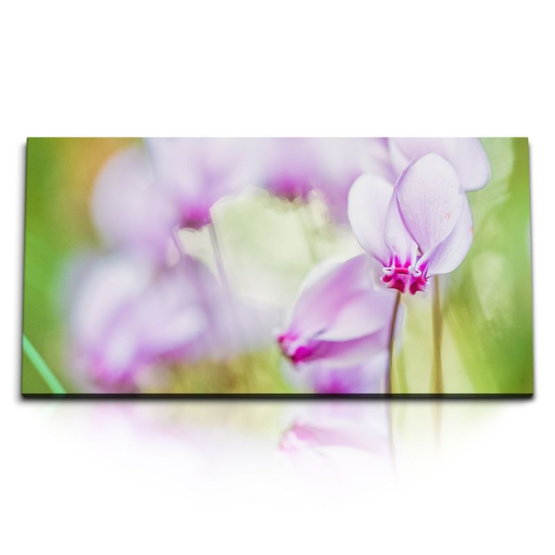 Kunstdruck Bilder 120x60cm Orchidee Rosa Grün Fotokunst Natur Blume