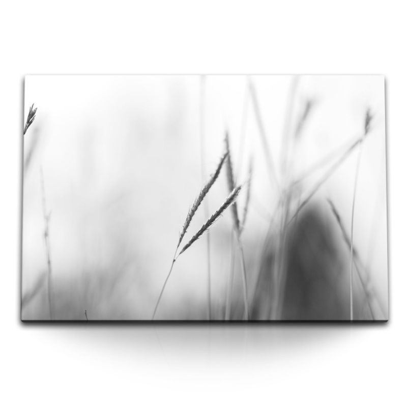 120x80cm Wandbild auf Leinwand Weizen Schwarz Weiß Fotografie Fotokunst Halme