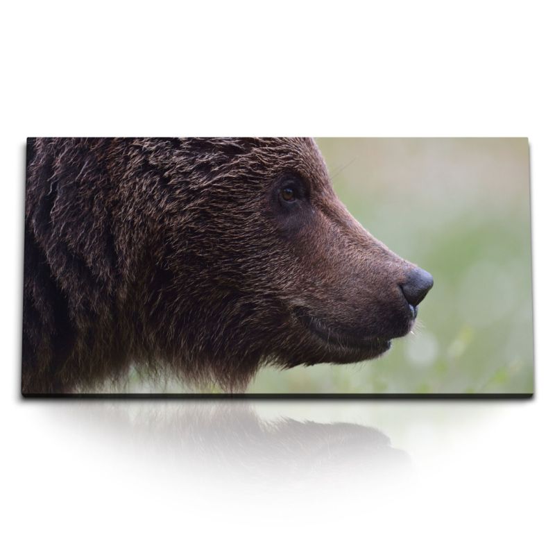 Kunstdruck Bilder 120x60cm Bär Braunbär Raubtier Tierfotografie Natur