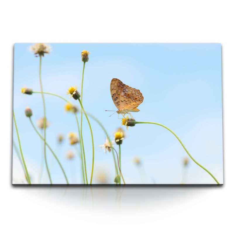 120x80cm Wandbild auf Leinwand Sommer Schmetterling Löwenzahn blauer Himmel