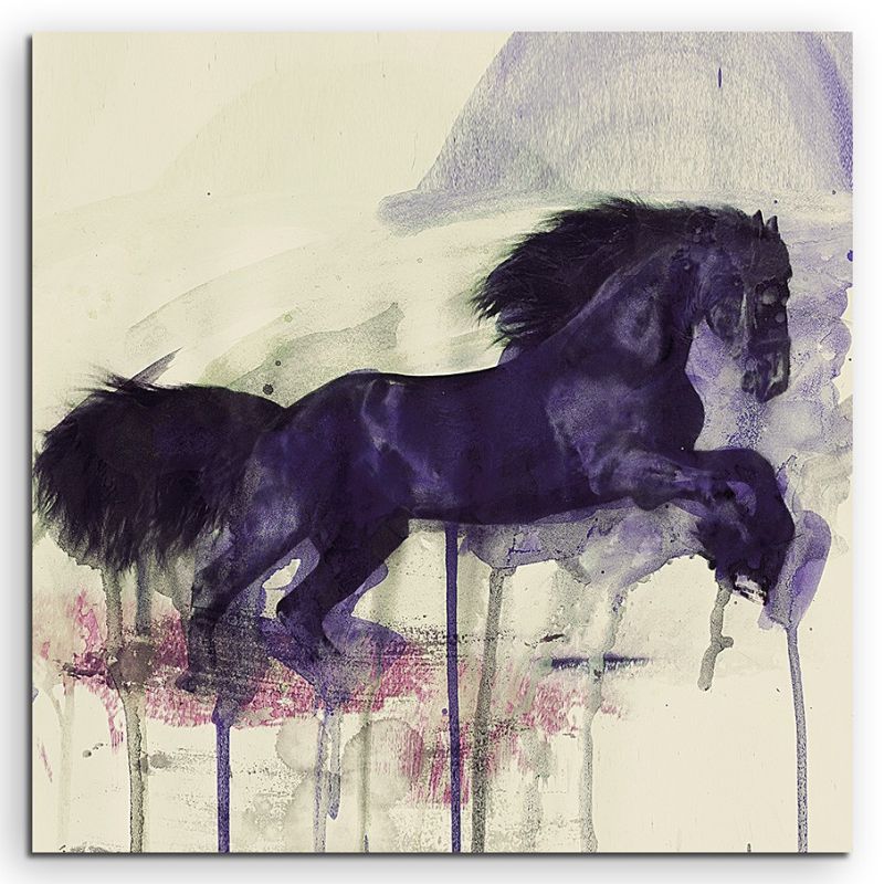 Black Horse 60x60cm  Aquarell Art Leinwandbild