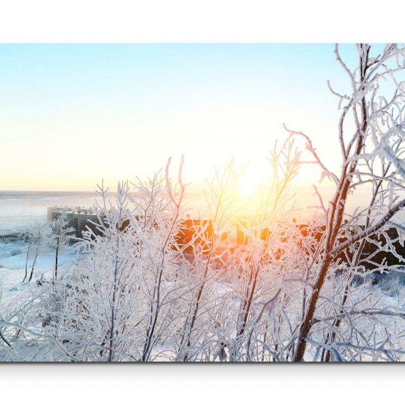 Winterlandschaft  Frost – Leinwandbild