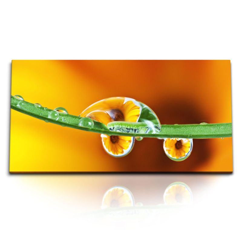 Kunstdruck Bilder 120x60cm Grashalm Makrofotografie Regentropfen Wassertropfen Orange