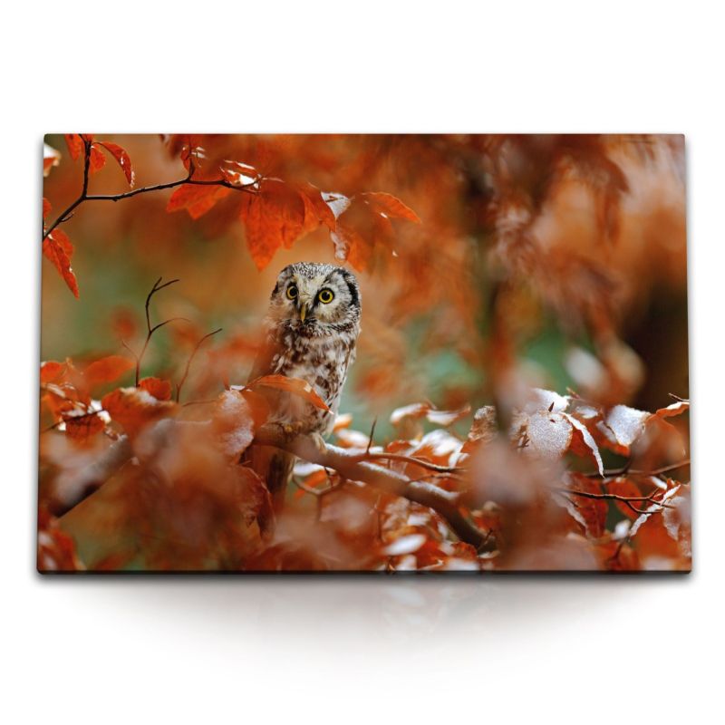 120x80cm Wandbild auf Leinwand Uhu Eule Natur Wald Herbstblätter Rot Vogel