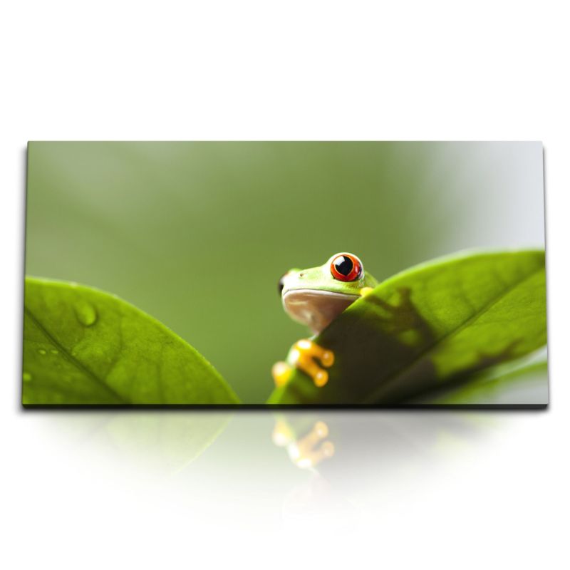 Kunstdruck Bilder 120x60cm Kleiner Frosch Grün Pflanzen Blätter Tropisch