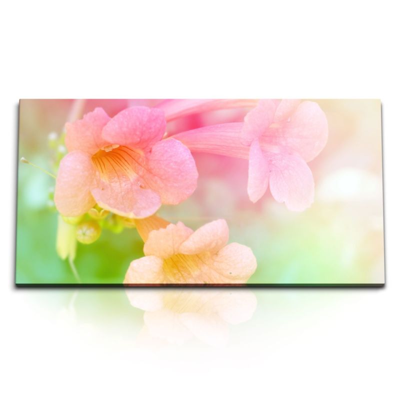 Kunstdruck Bilder 120x60cm Blumen Blüten Kunstvoll Rosa Hell Frühling