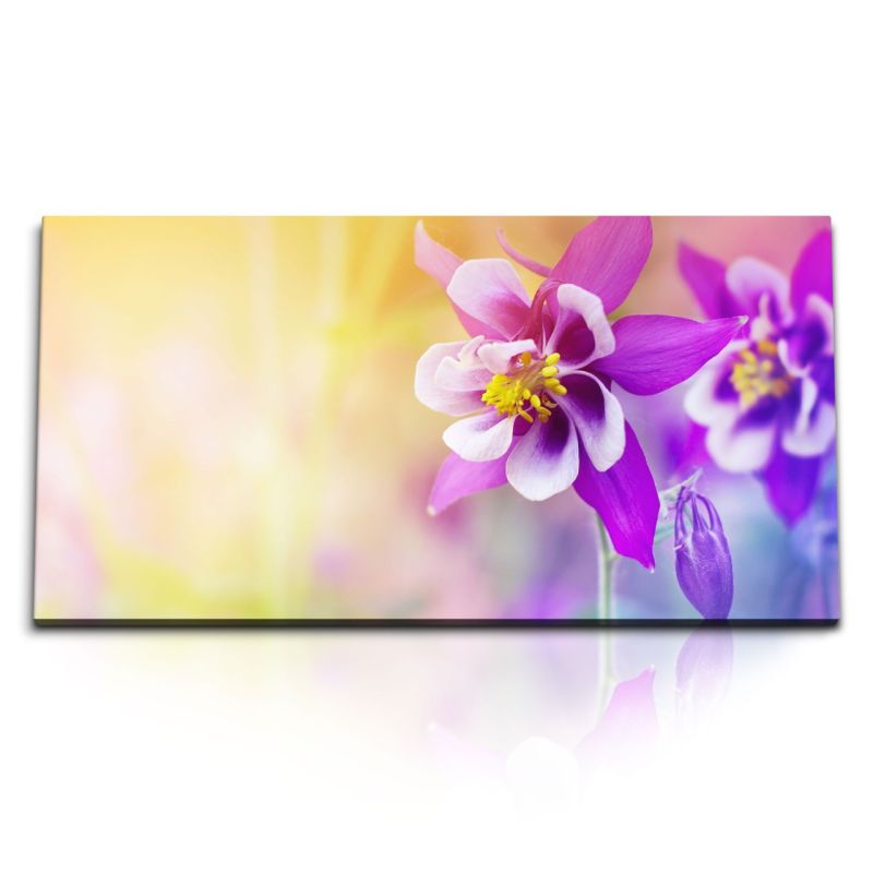 Kunstdruck Bilder 120x60cm Blumen Blüten Sonnenschein Lila Sommer Kunstvoll