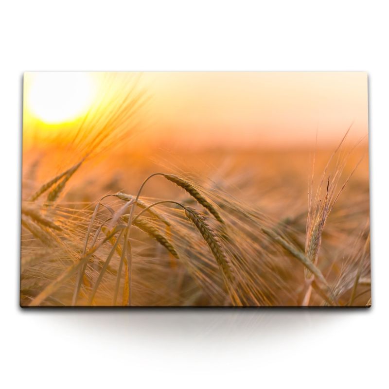 120x80cm Wandbild auf Leinwand Sommer Sonnenuntergang Feld Natur Weizen