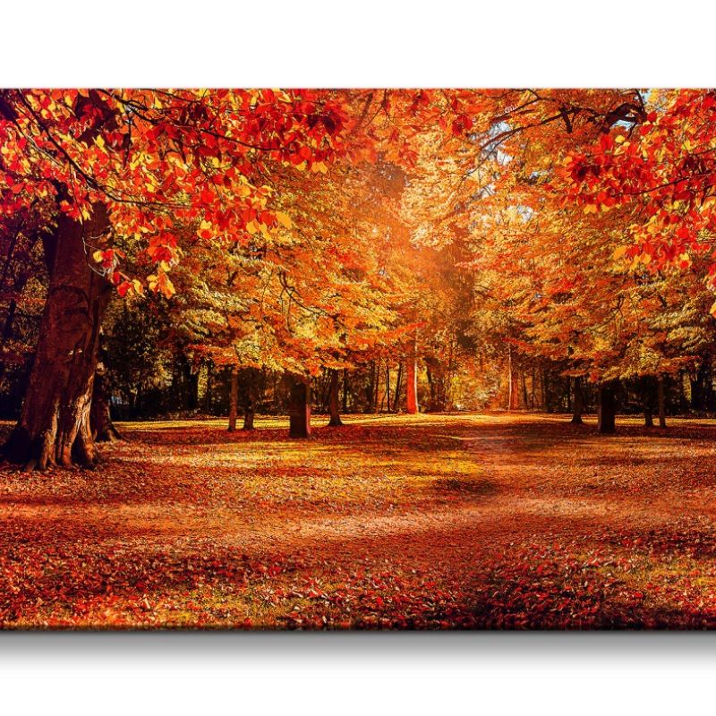 Leinwandbild 120x60cm Herbst Herbstblätter Herbstgold Bäume Park Romantisch