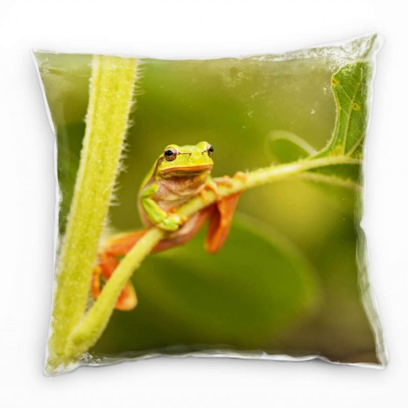 Tiere, grün, orange, Frosch hängend am Blatt Deko Kissen 40x40cm für Couch Sofa Lounge Zierkissen