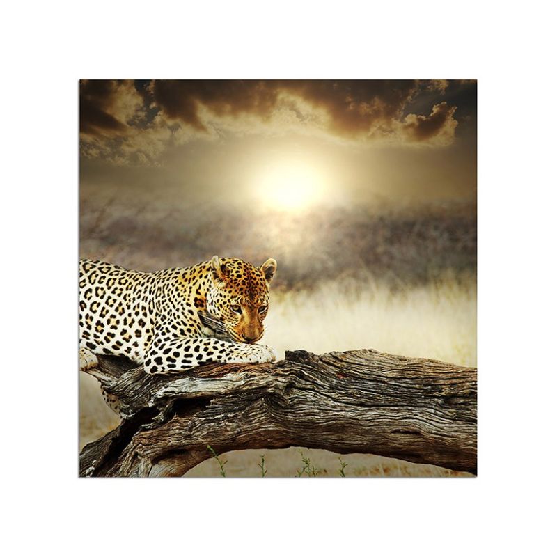 80x80cm Leopard Wildnis Baumstamm