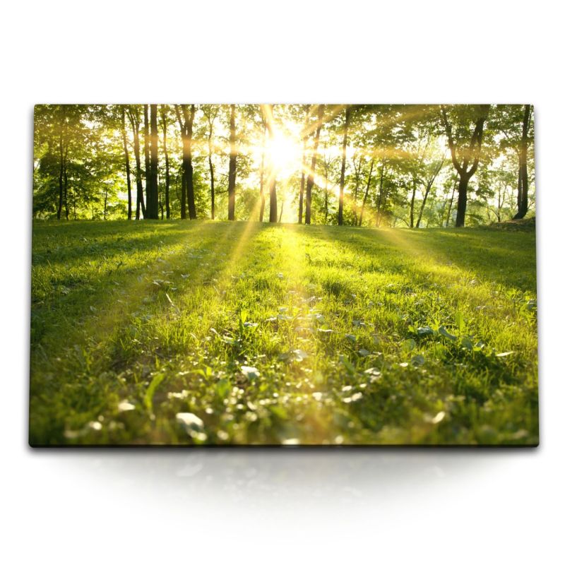 120x80cm Wandbild auf Leinwand Grüne Wiese Waldrand Bäume Sonnenschein Natur