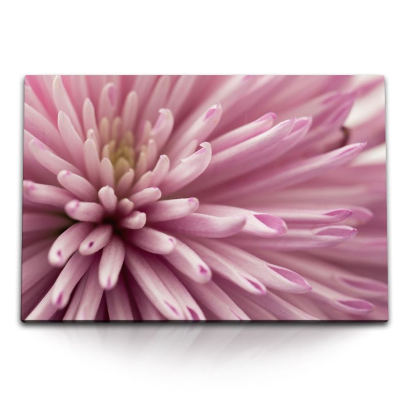 120x80cm Wandbild auf Leinwand Blume Blüte Makrofotografie Rosa Nahaufnahme