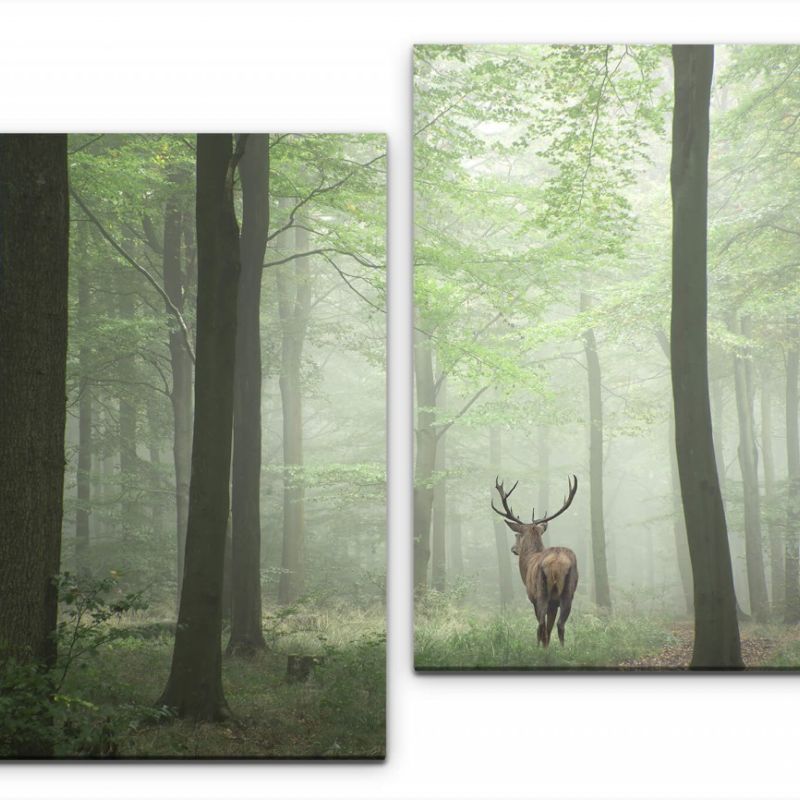 Rehbock in einem Wald Wandbild in verschiedenen Größen