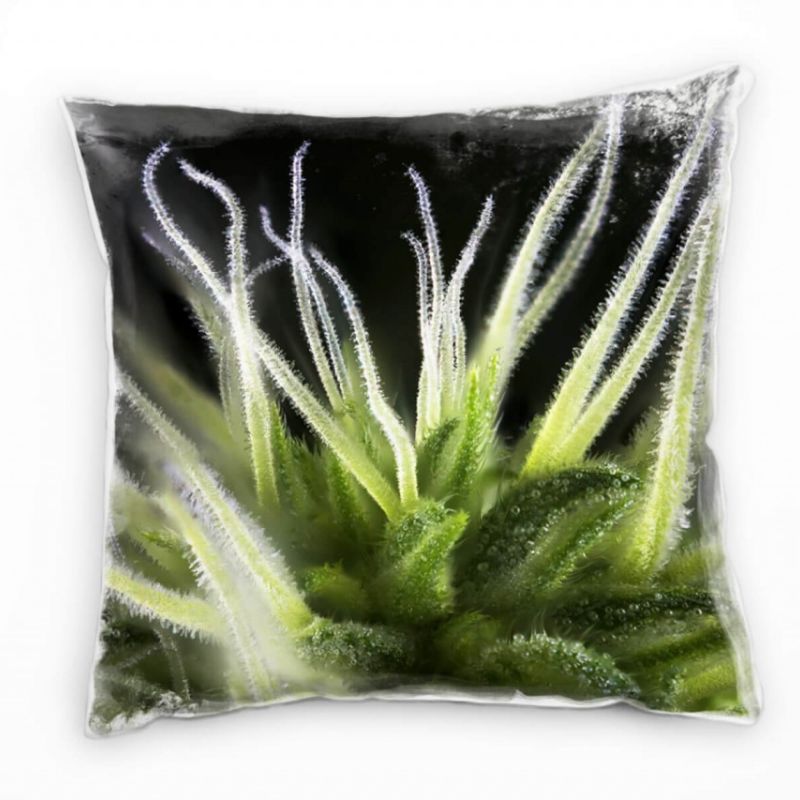 Macro, Natur, Cannabis, Marihuana, grün, schwarz Deko Kissen 40x40cm für Couch Sofa Lounge Zierkisse