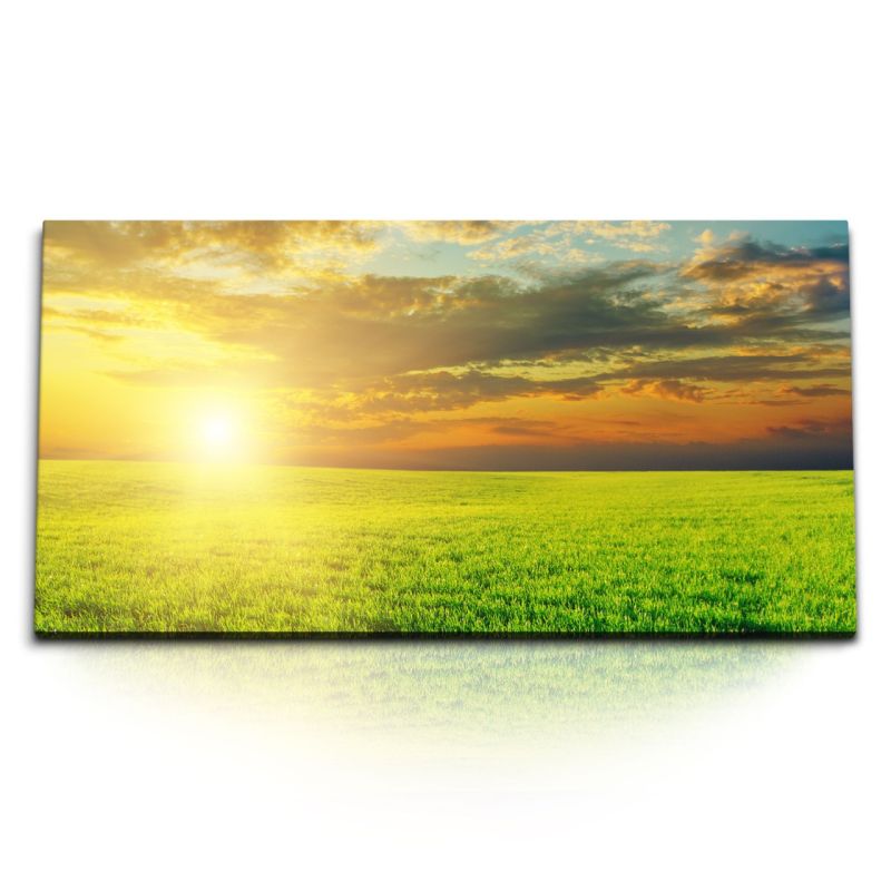 Kunstdruck Bilder 120x60cm Grünes Feld Natur Landschaft Sonnenuntergang