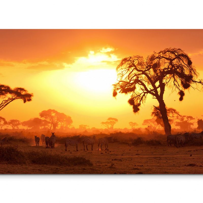 120x80cm Wandbild Kenia Akazien Wildtiere Sonnenuntergang