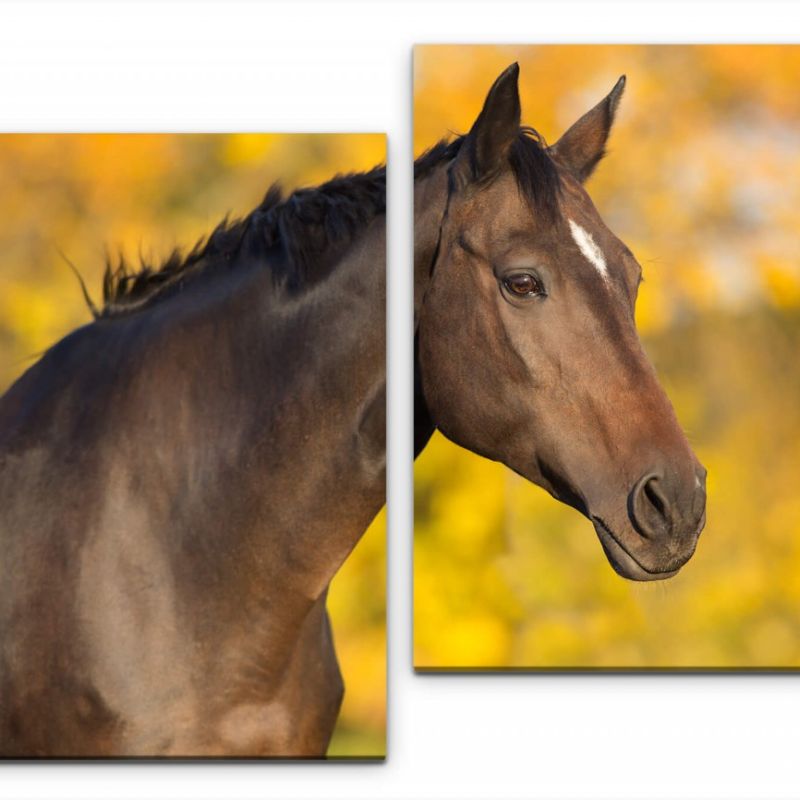 Pferd im Herbst Wandbild in verschiedenen Größen